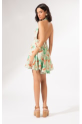 Vestido Seahorse Verde Claro