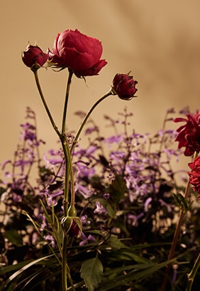 Banner - Inverno  Giverny